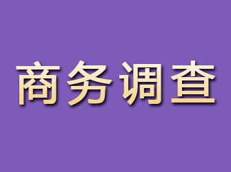 萧山商务调查